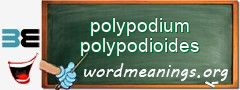 WordMeaning blackboard for polypodium polypodioides
